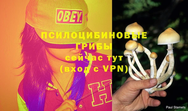 ГАЛЛЮЦИНОГЕННЫЕ ГРИБЫ Абинск